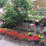 Iwan Ferienwohnungen Objekt 26001